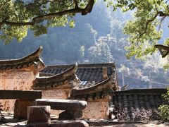 -杨家堂村