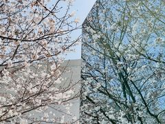 -龙美术馆(西岸馆)