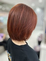 -镁连社·美联社