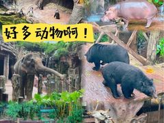 -长鹿旅游休博园