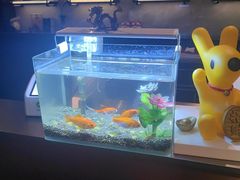 -华夏良子·足道SPA艾灸(王府井店)