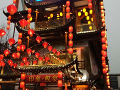 -印象鲵宴·张家界地标美食名片(溪布街店)