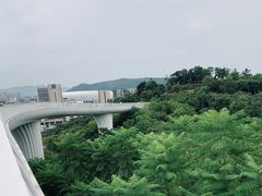 -飞凤山奥体公园