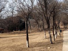 -高尔山公园