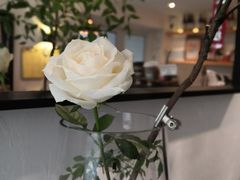 -Joymean coffee.见面咖啡