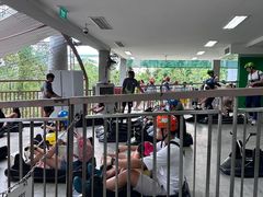 -圣淘沙天际线斜坡滑车