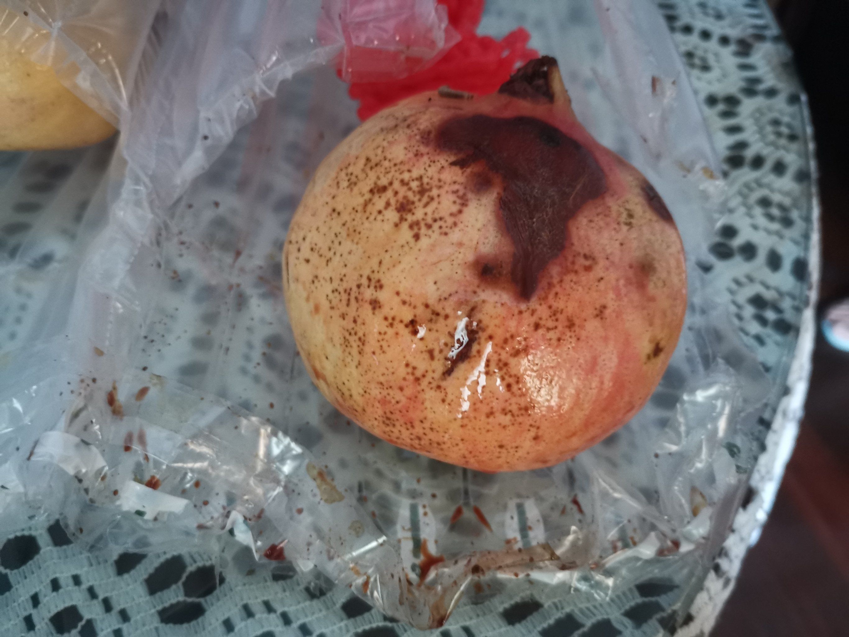 集拼图记生活 买的石榴烂了一个,呜呜呜