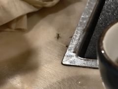 -潮汕良记牛肉火锅(洪武路店)