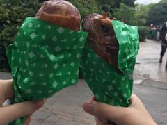 -飞天翼龙