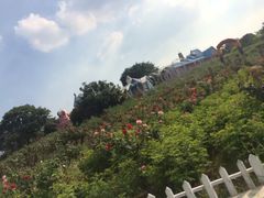 -松山湖南湖湾露营营地