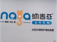 -纳吉亚猫专科动物诊疗中心(蒋宅口分院)