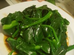 蚝油芥兰-翠华餐厅(湾仔店)