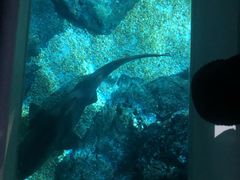 -暹罗海洋世界