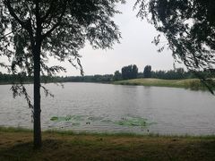 -东郊湿地公园