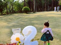 -凤岭儿童公园