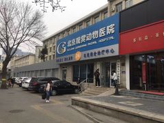 -北京观赏动物医院·24小时大型综合·猫专科·异宠专科