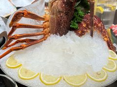 -半岛翡丽海鲜自助餐厅(观风亭店)