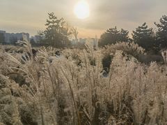 -汉长安城未央宫国家考古遗址公园