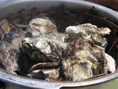 高压锅生蚝-臻炙大舍烤串(天龙家园店)