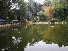 -人民公园(罗湖区)