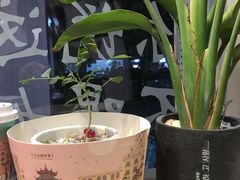 -一杯潮茶·专注潮汕茶饮(十二中创始店)