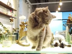 -MIMO CAFE(沙头角店)