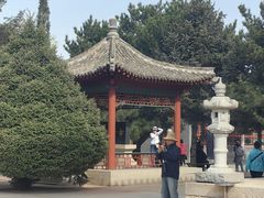 -中华三祖圣地黄帝城遗址文化旅游区
