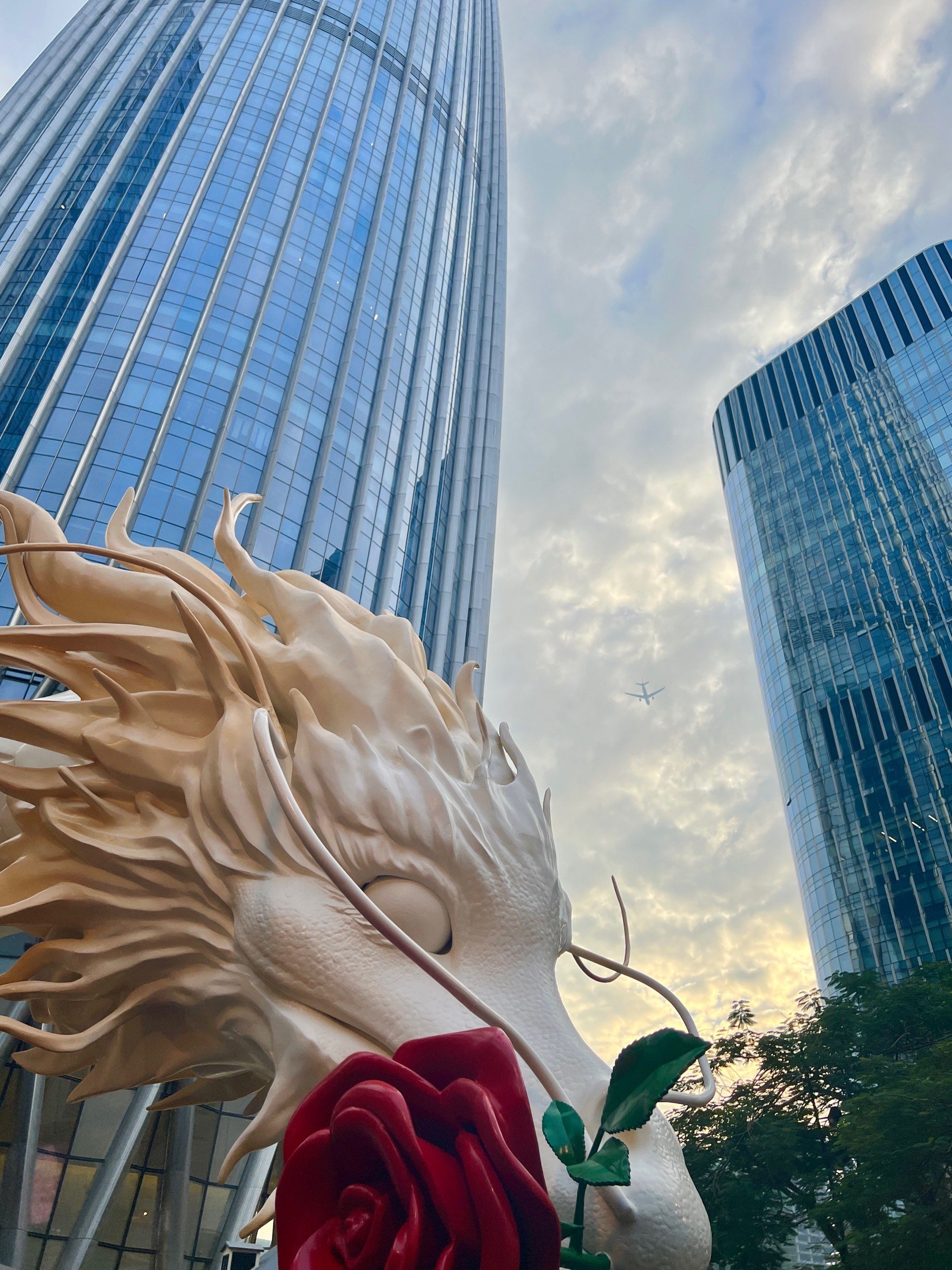 深圳新展!🐉龙年玫瑰庄园🌹