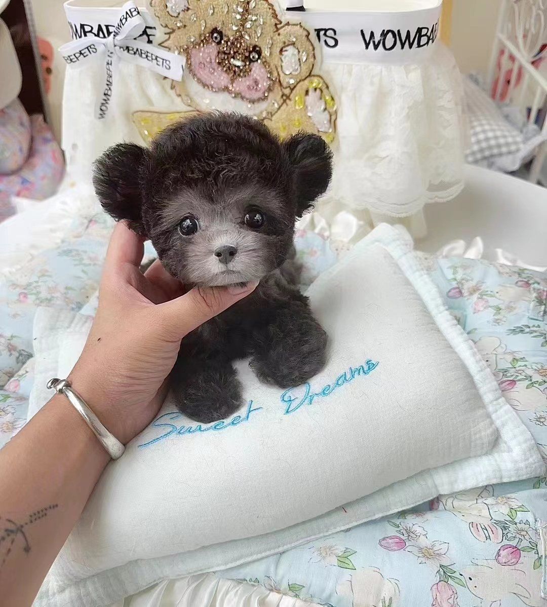 可爱小宝贝