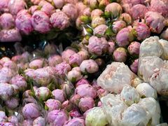 -循礼门鲜花花市(武汉循礼门店)