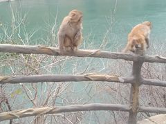 -白帝城·瞿塘峡景区