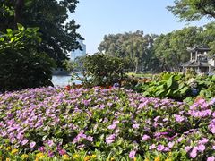 -荔湾湖公园