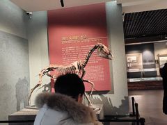 -齐齐哈尔市博物馆