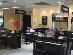 -知音艺术教育培训·钢琴培训·音乐培训(河西金鹰世界校区)