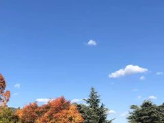 -时光吧·大堂吧·丽江和府洲际度假酒店