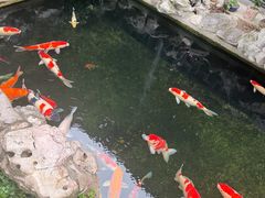 -金海华·华宴江南(斜塘店)