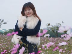 -洋湖国家湿地公园