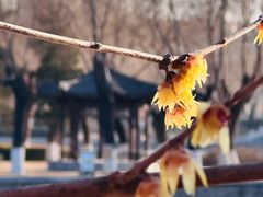 -中国农业博物馆
