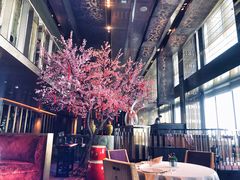 -金轩中餐厅 Jin Xuan(浦东丽思卡尔顿酒店)