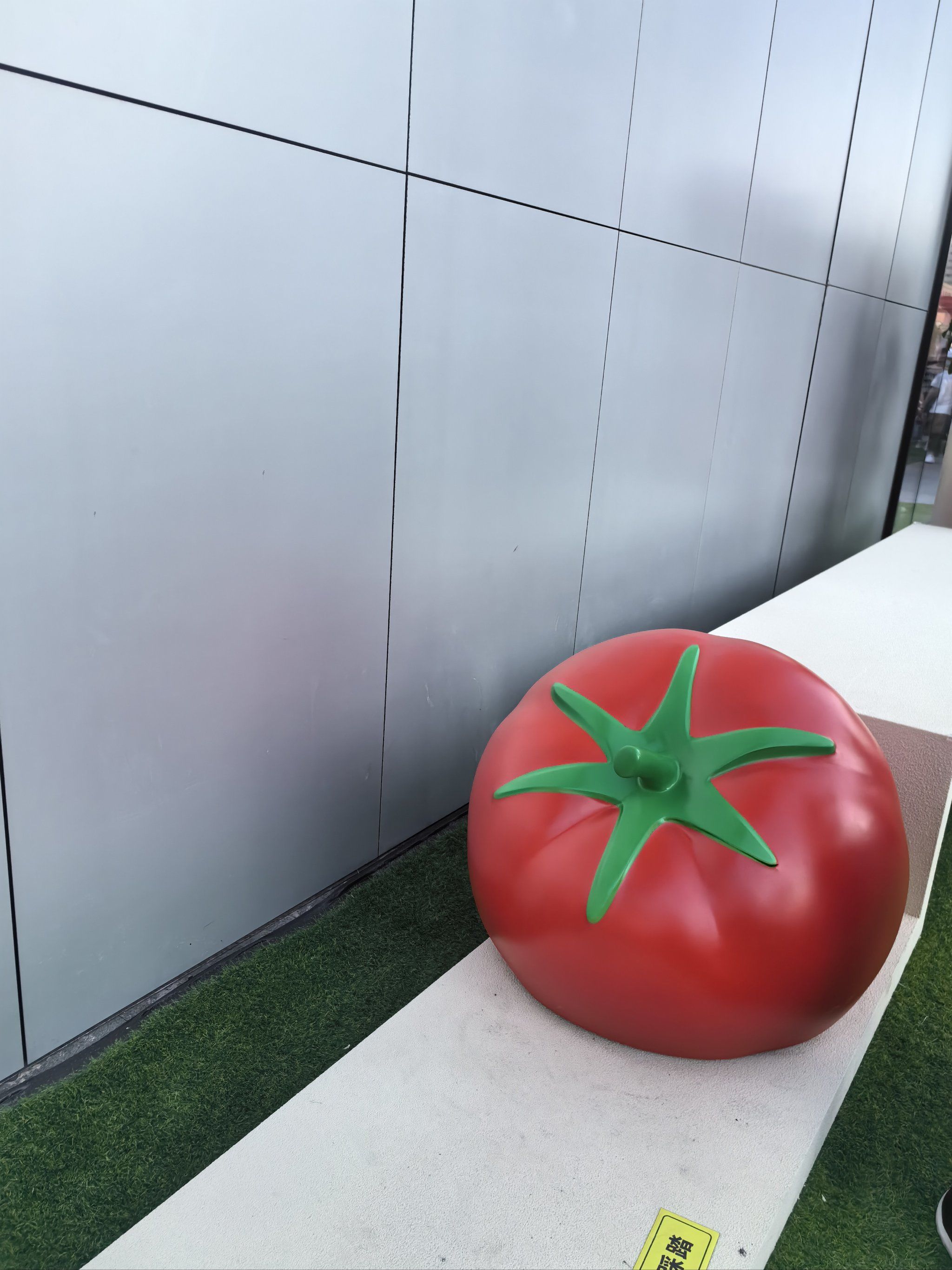 西红市的大西红柿