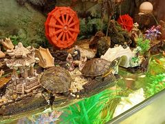 -旺角宝港式茶餐厅(寮步店)