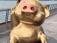 -星光大道