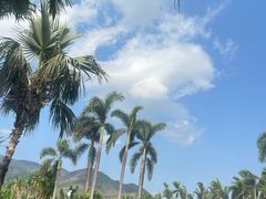 -亚龙湾希尔顿自助餐厅·海鲜·烧烤·沙滩BBQ·现场乐队