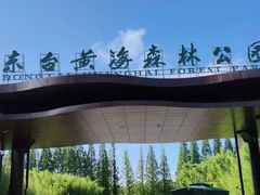 -黄海国家森林公园