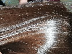-Coco Salon 日系烫染专业店