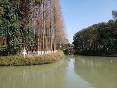 -乌镇东栅景区
