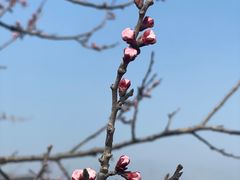 -居庸关长城
