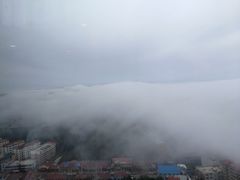 -山东大学(威海校区)