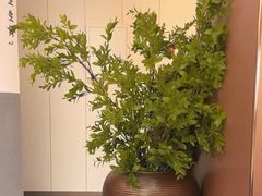 -拾柴熏酱-鲜虾水饺(群力店)