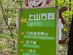 -大岭沟猕猴桃谷风景区
